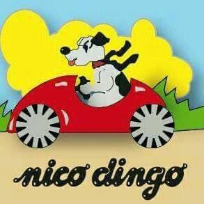 Nico Dingo
